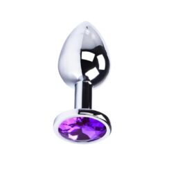 Plug Anal Argenté Bijoux Violet